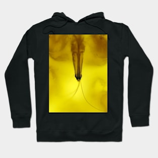 Aphid mouth under the microscope Hoodie